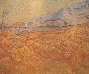 Vincent Van Gogh Wheat Field behind Saint-Paul Hospital with a Reaper (nn04) china oil painting reproduction